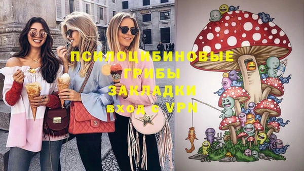 прущая мука Михайлов