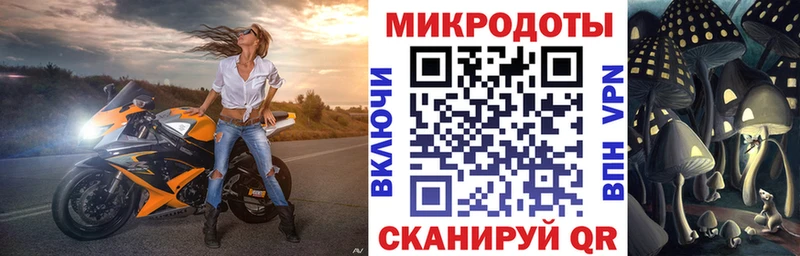 Псилоцибиновые грибы Psilocybe  Эртиль 